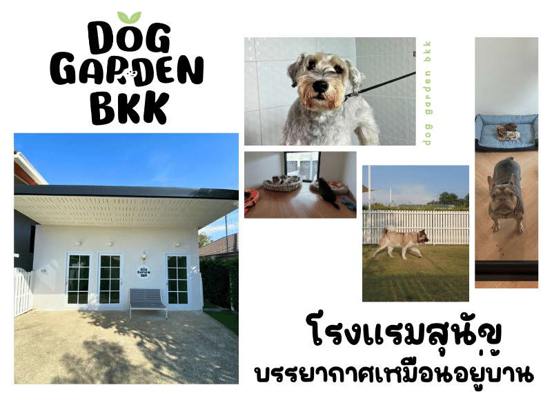 โรงแรมสุนัข หมาเล็กกรุงเทพ