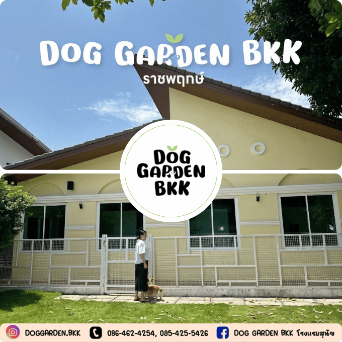 DOG GARDEN BKK ราชพฤกษ์
